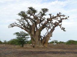 281839_10150262258139901_974151_n